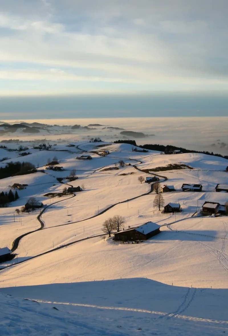 Bild2 im Kopfbereich